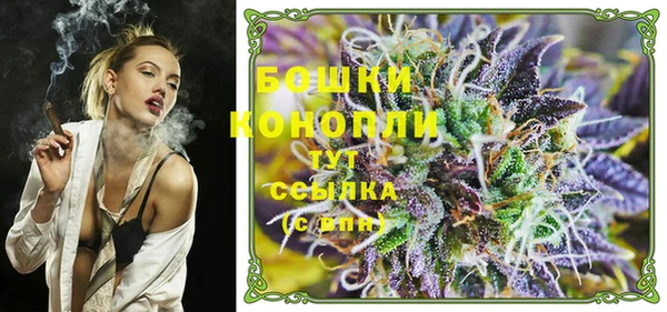 ПСИЛОЦИБИНОВЫЕ ГРИБЫ Пестово
