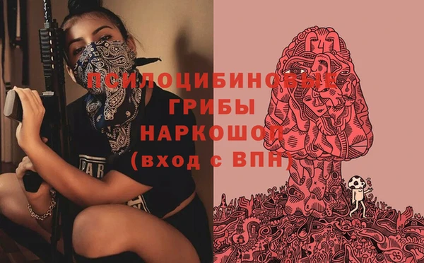 MESCALINE Переславль-Залесский