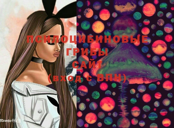 ПСИЛОЦИБИНОВЫЕ ГРИБЫ Пестово