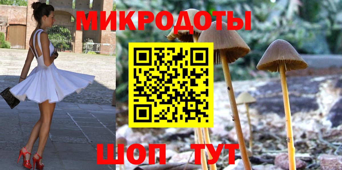 Псилоцибиновые грибы GOLDEN TEACHER Барнаул