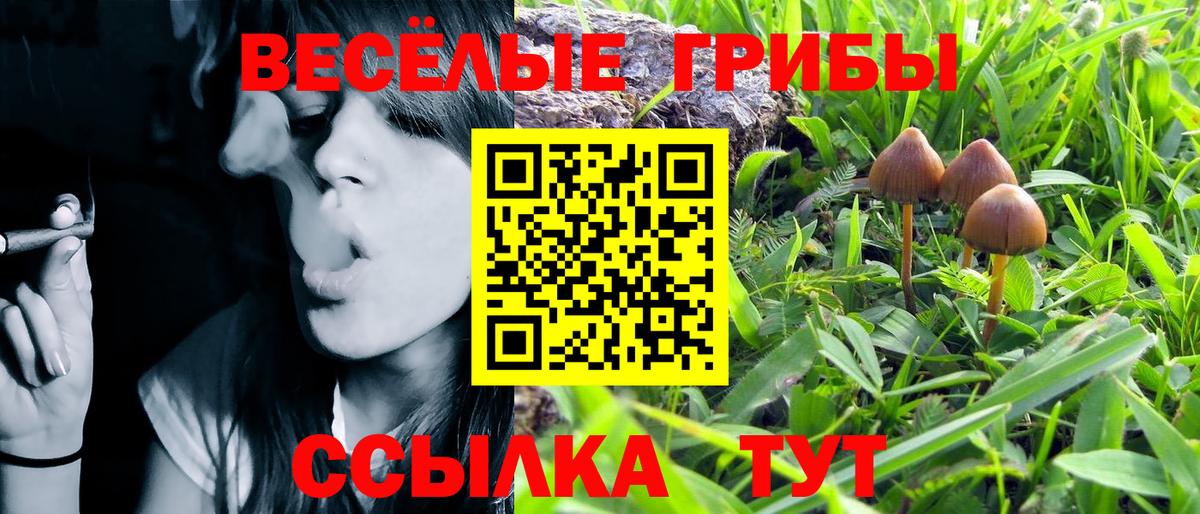 Галлюциногенные грибы Magic Shrooms Барнаул