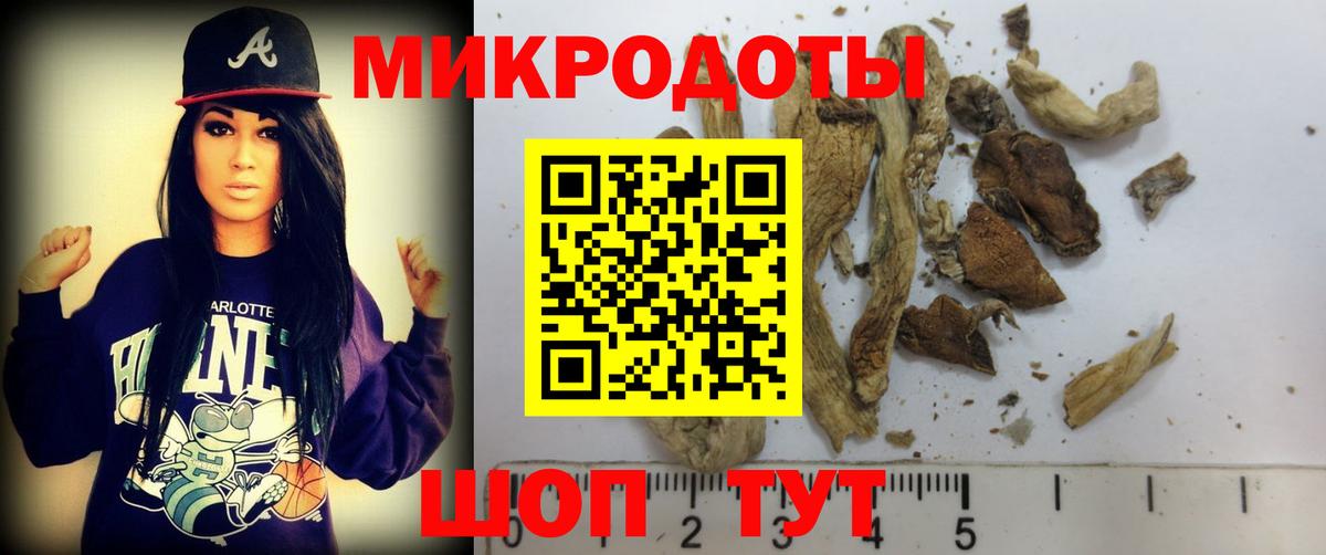 Псилоцибиновые грибы мухоморы  Псилоцибиновые грибы Cubensis  Барнаул  Вход с VPN 
